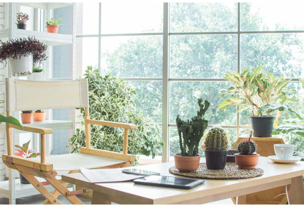 Um interior de primavera em casa: o guia completo